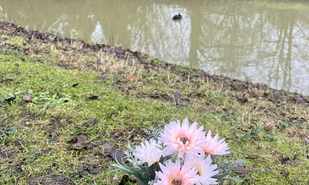 Hoe wordt er omgegaan met daklozen in Lunetten?