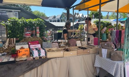 Standhoudster Rachel op voorjaarsmarkt Lunetten over de Week van de Stenen Winkel