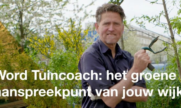 “Het sterke irritatie gevoel blijft me motiveren”