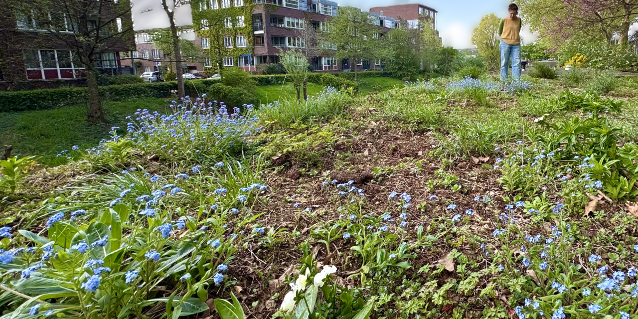 Gemeente wil niet gaan bezuinigen op subsidie groene daken