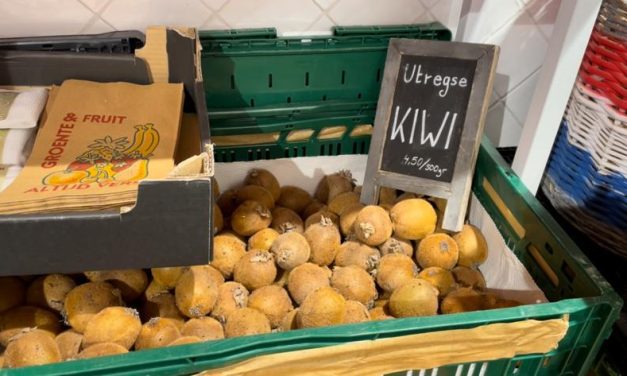 Locals Utrecht maakt sterke start na crowdfunding