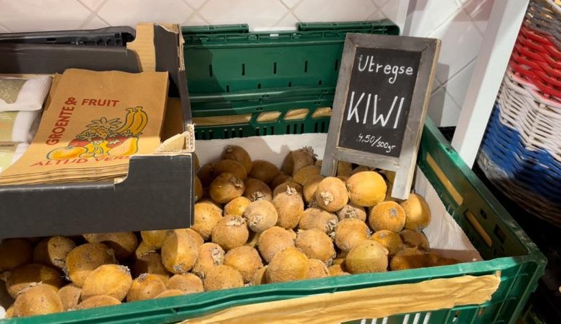 Locals Utrecht maakt sterke start na crowdfunding