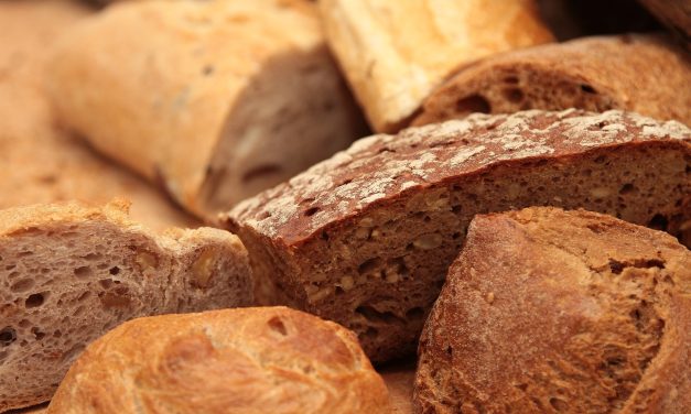 Daar lusten de honden geen brood van