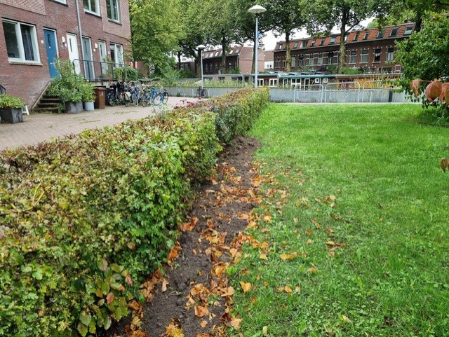 Bladcompost binnen Utrecht West