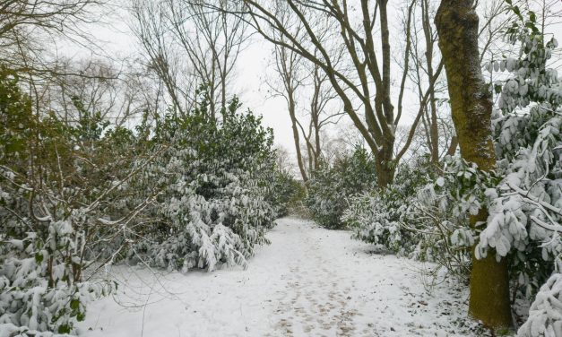 Wees goed voorbereid als je op wintersport gaat