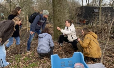 Wandeling door Rijnvliet’s voedselbos: ontdek de bodem onder je voeten