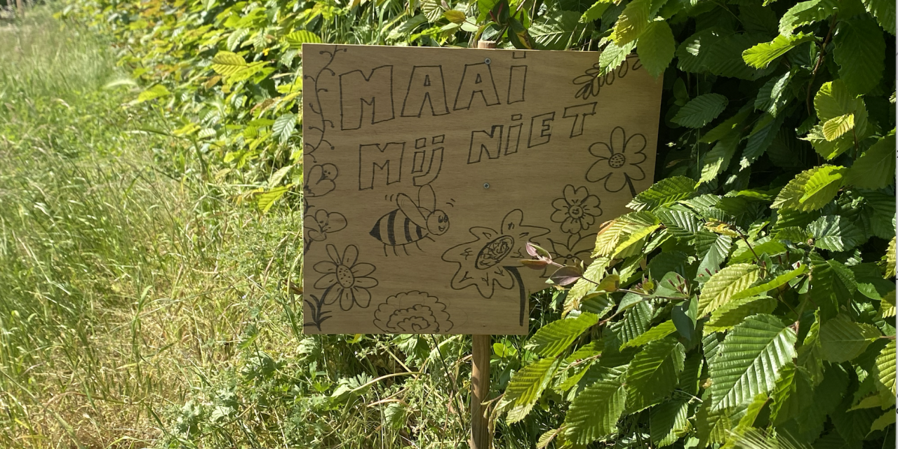 MaaiMeiNiet ook aangeslagen in de wijk Leidsche Rijn