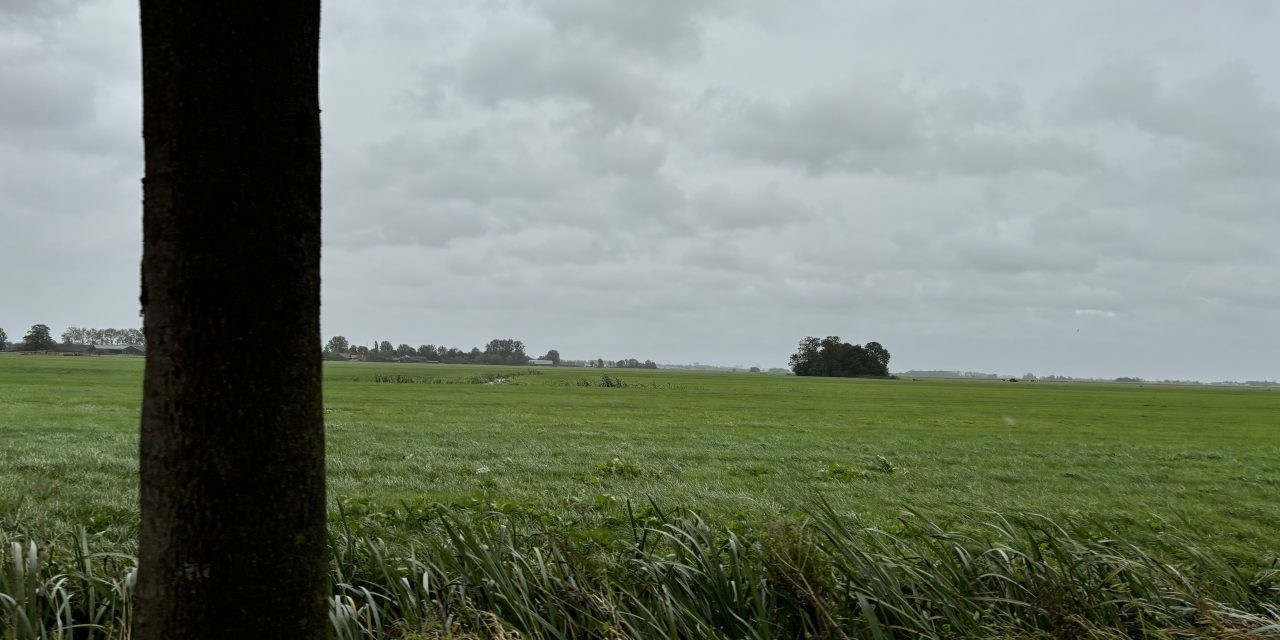 Windmolen bouwplan zorgt voor commotie in Reijerscop