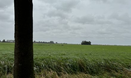 Windmolen bouwplan zorgt voor commotie in Reijerscop