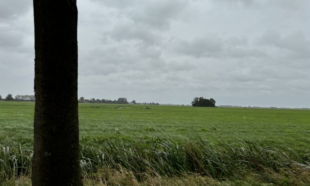 Windmolen bouwplan zorgt voor commotie in Reijerscop