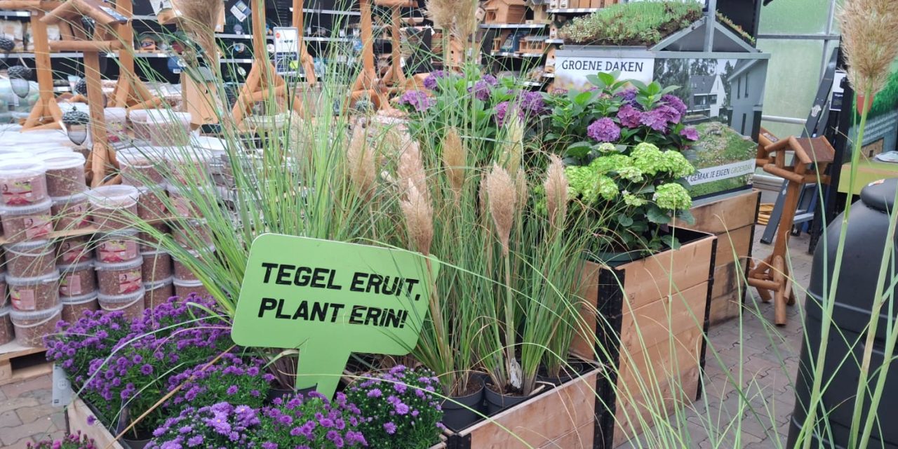 Tegelruil actie