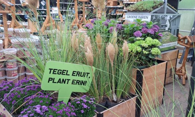 Tegelruil actie