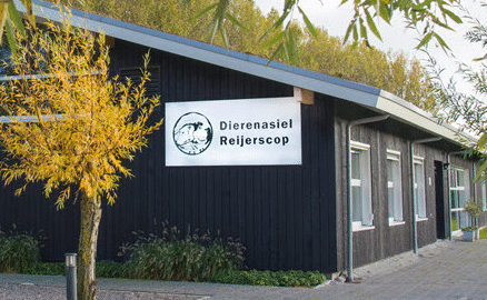 Zaterdagochtend in dierenasiel Reijerscop: draaiende op pure vrijwillige inzet