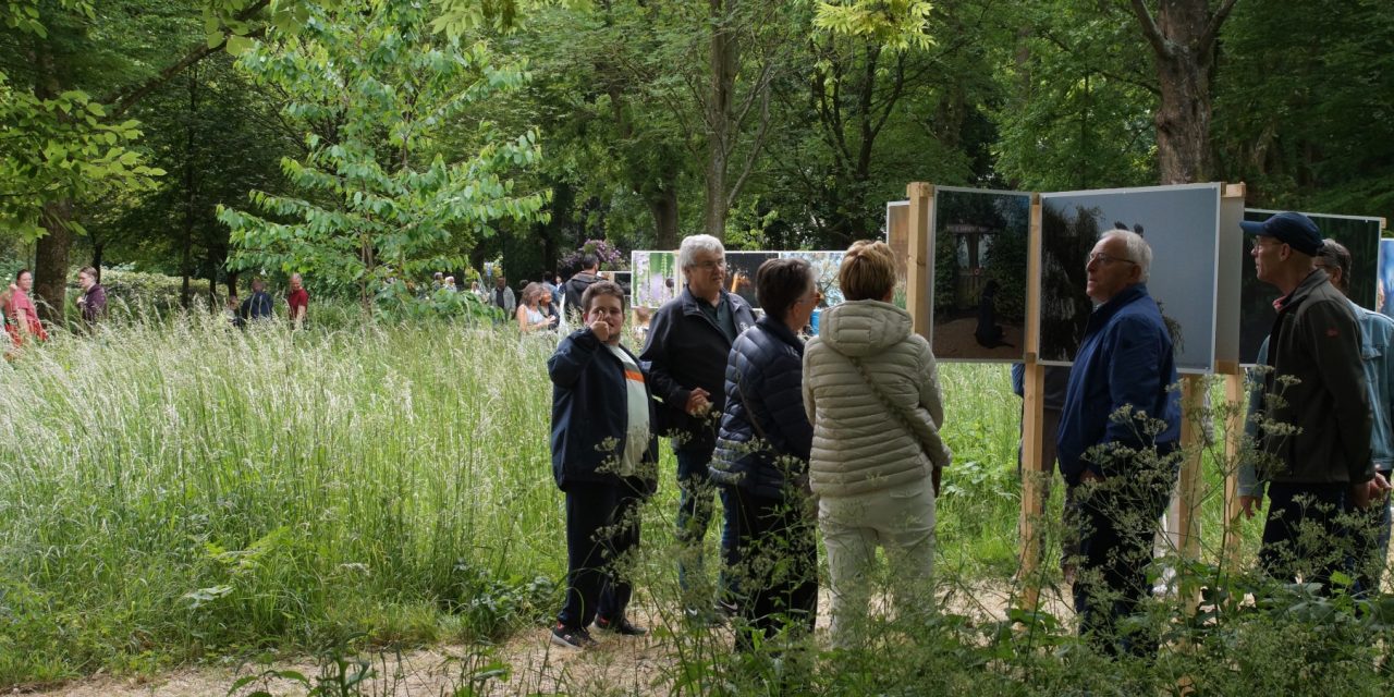 Tussen Natuur en Kunst: Fotograaf Dammis in Brediuspark