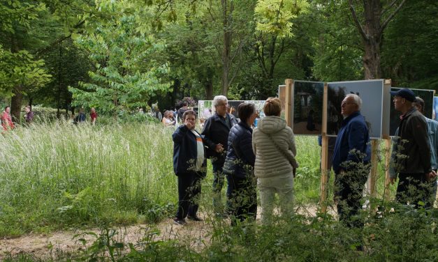 Tussen Natuur en Kunst: Fotograaf Dammis in Brediuspark