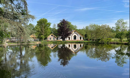 ‘Natuurwandelingen zijn belangrijk voor de educatie van kinderen’