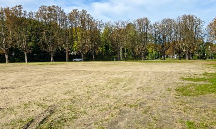 Einde festivalseizoen inzicht: dit is de staat van het Exercitieveld in Woerden