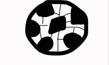 Nationale sportweek Woerden voor alle en iedereen