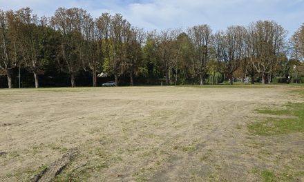 Wat moeten we met het Exercitieveld
