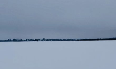 Thuis met de sneeuw: ‘Het is niet zo dat we ons belemmerd voelden om naar buiten te gaan’