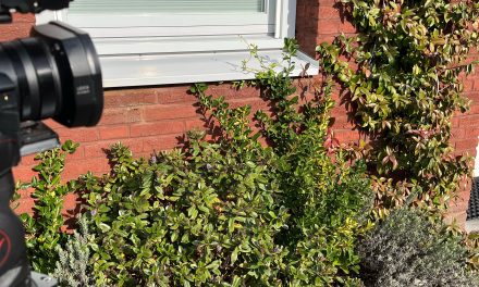 Geveltuin actie opnieuw van start na groot succes