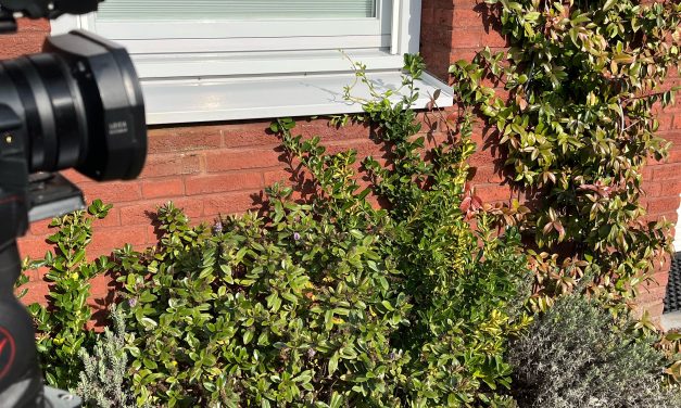 Geveltuin actie opnieuw van start na groot succes