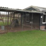 Kinderboerderij Kamerik gesloten vanwege vogelgriep, veel dieren geruimd