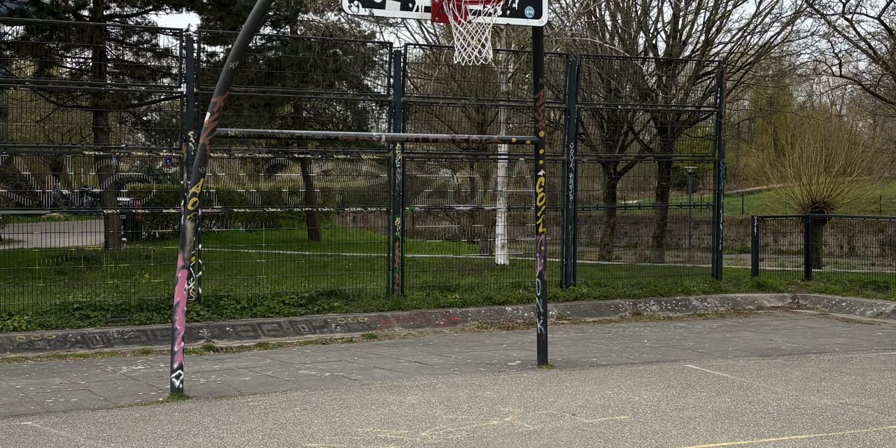 Grote toename in Basketbal spelers in Woerden
