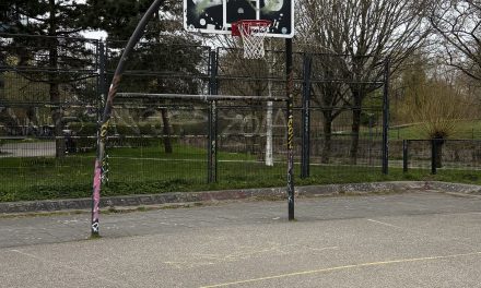 Grote toename in Basketbal spelers in Woerden