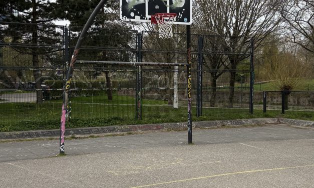 Grote toename in Basketbal spelers in Woerden