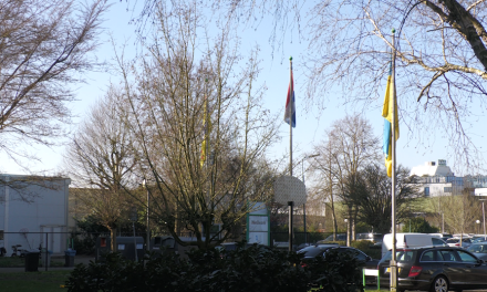 4 jaar Oekraïense opvang: “Mijn vrienden zitten aan het front en ik ben hier bezig”