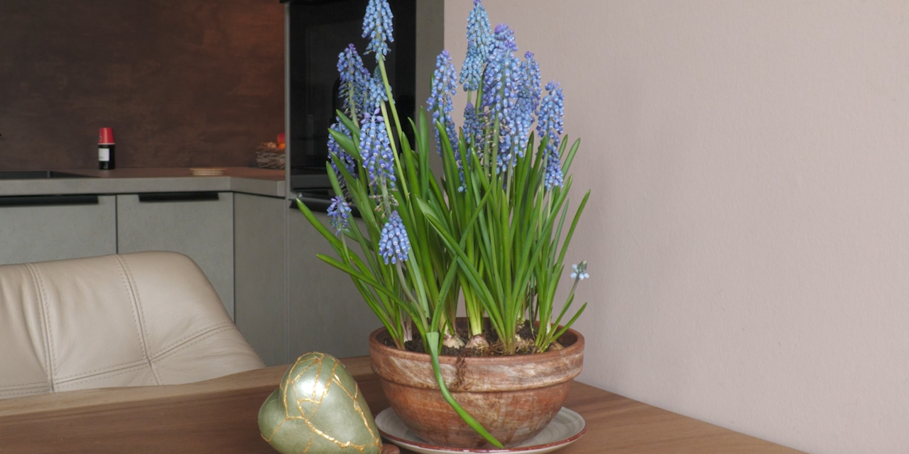 Wat drijft rouw- en stervensbegeleider Evelien de Gier?