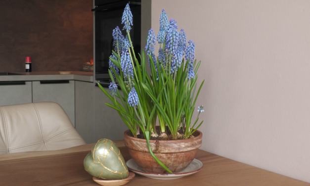 Wat drijft rouw- en stervensbegeleider Evelien de Gier?