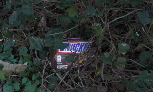 Woerden: een stad met zwerfafval