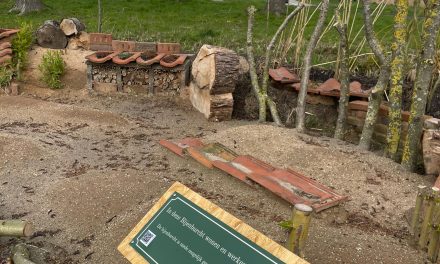 Nieuwe Bijenburcht in Woerden verwelkomt eerste bij