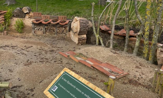 Nieuwe Bijenburcht in Woerden verwelkomt eerste bij