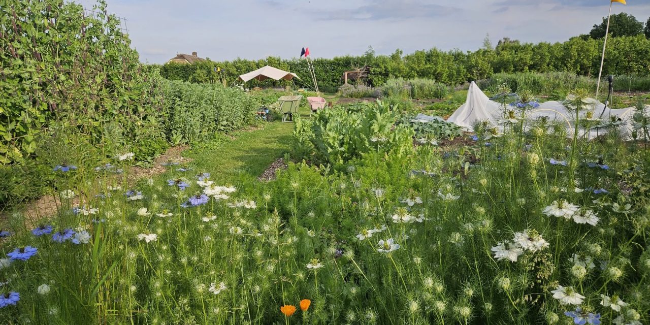 Nieuwe landwinkel en groeiende vraag naar lokaal voedsel: Proeftuin van Linschoten opent haar deuren