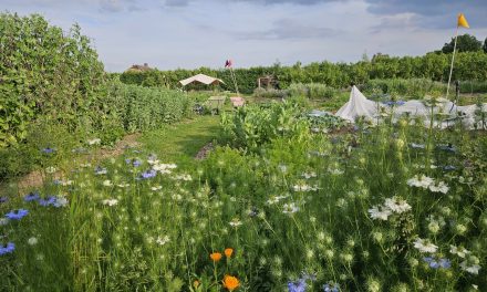 Nieuwe landwinkel en groeiende vraag naar lokaal voedsel: Proeftuin van Linschoten opent haar deuren