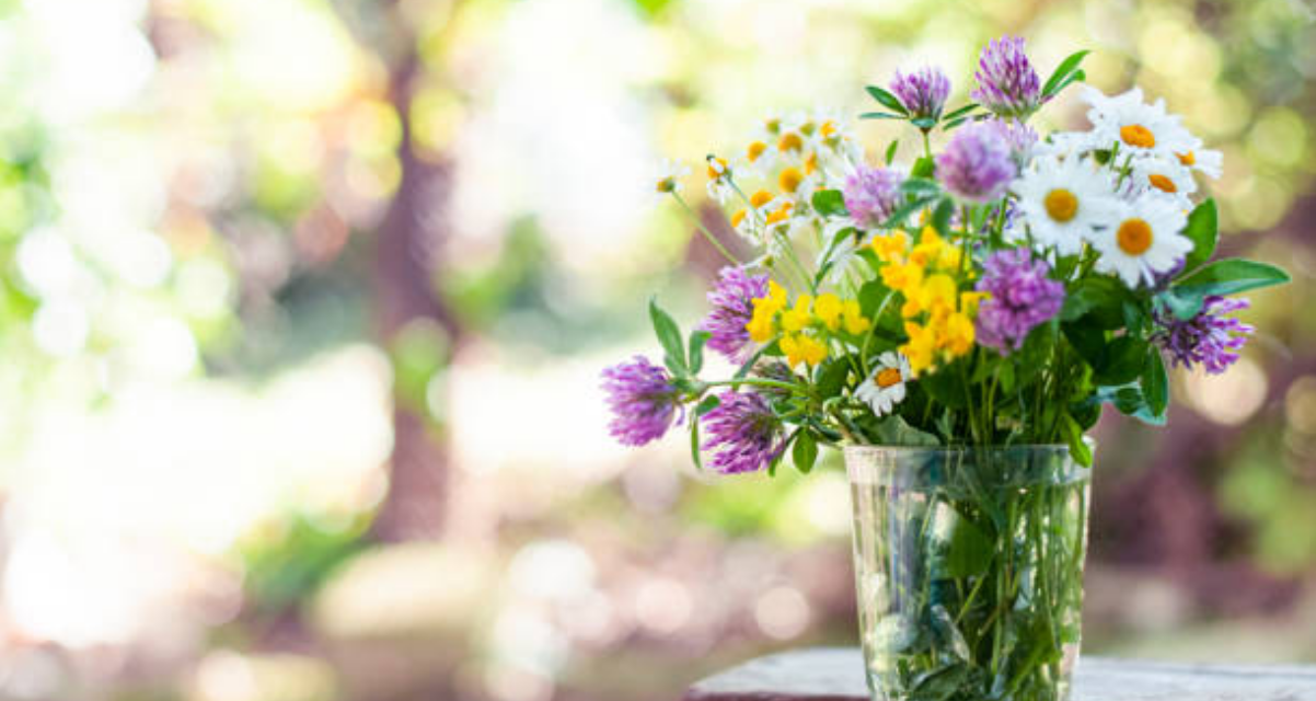 Alternatieve bloemen in de Duurzaamheidswinkel: kunst met een duurzame boodschap