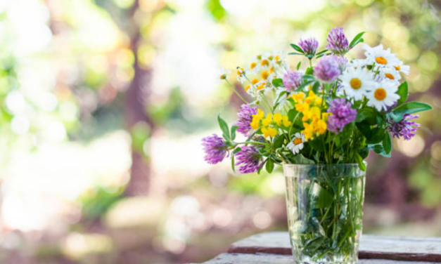 Alternatieve bloemen in de Duurzaamheidswinkel: kunst met een duurzame boodschap