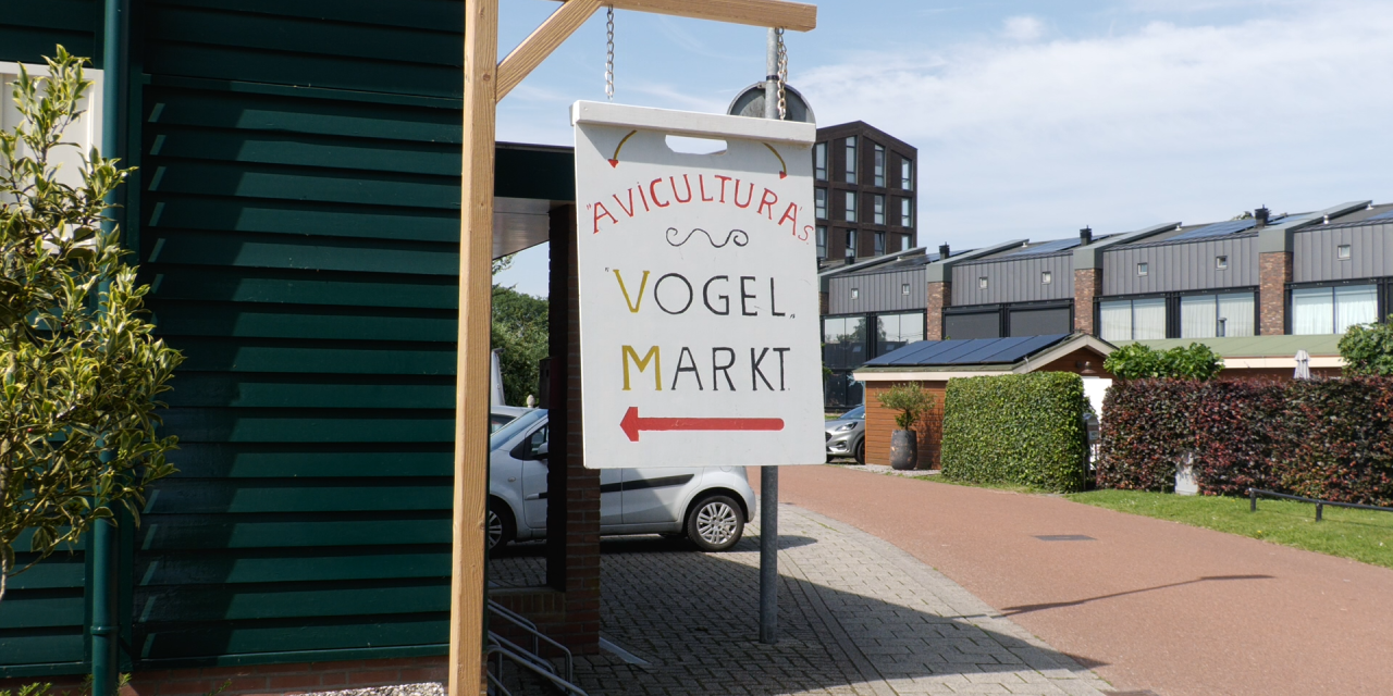 Vogelmarkt in Woerden blijft doorgaan ondanks vergrijzing