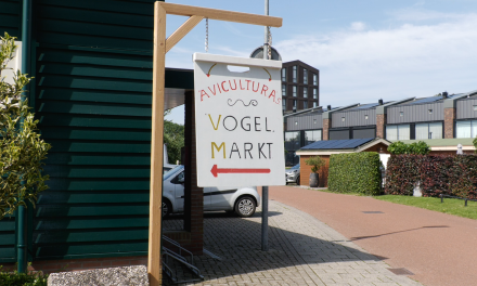 Vogelmarkt in Woerden blijft doorgaan ondanks vergrijzing