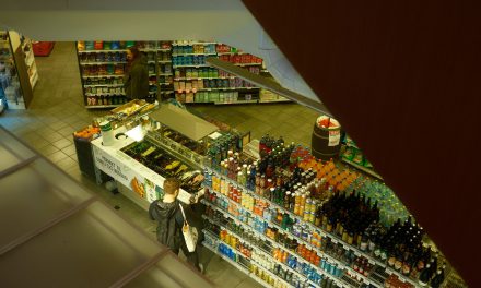 Winkeldiefstal blijft hardnekkig probleem in Woerden en Houten