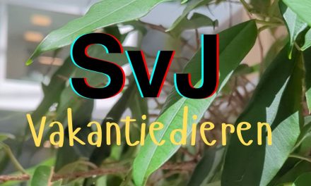 Pinguïns, bosuilen en andere (nog geen) vakantiedieren