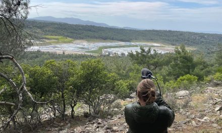 Voormalig SvJ student met een missie: Stanzen Jelsma (24) en haar documentaire ‘From Compassion to Crime’