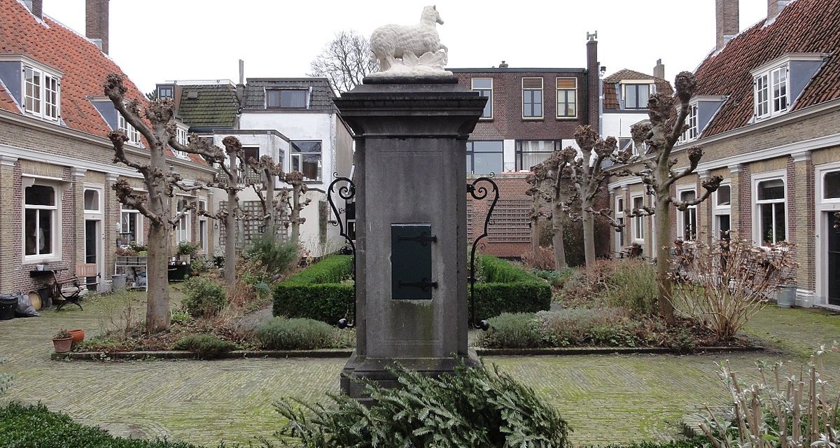 Er komt een knarrenhof aan de Renesselaan