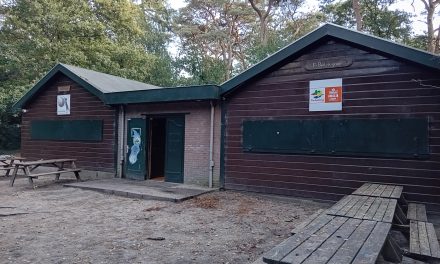 De Bevers gaan het bos niet in vanwege de wolf