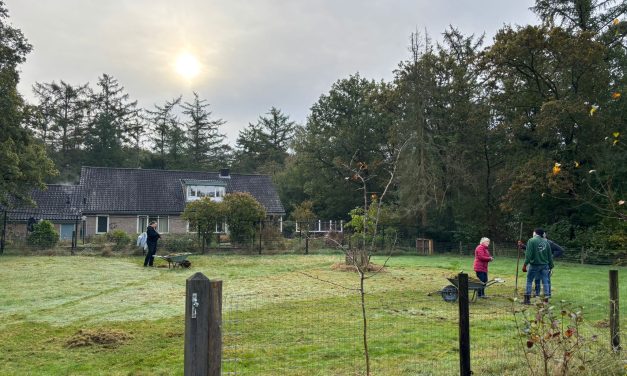 Het schapenweitje draagt bij aan de verduurzaming