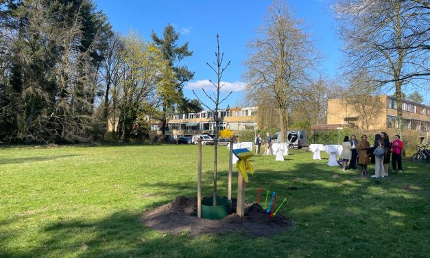 Kievse kastanjeboom geplant in Zeist: Een blijvend teken van verbondenheid in Zeist
