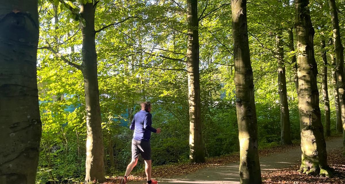 Zeist start tweede editie van ‘Heel Zeist telt mee’ voor meer biodiversiteit